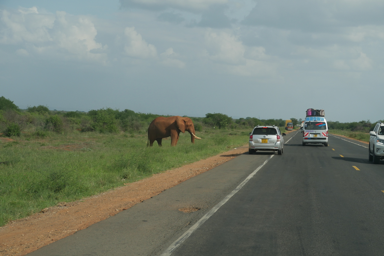 Onderweg naar Tsavo