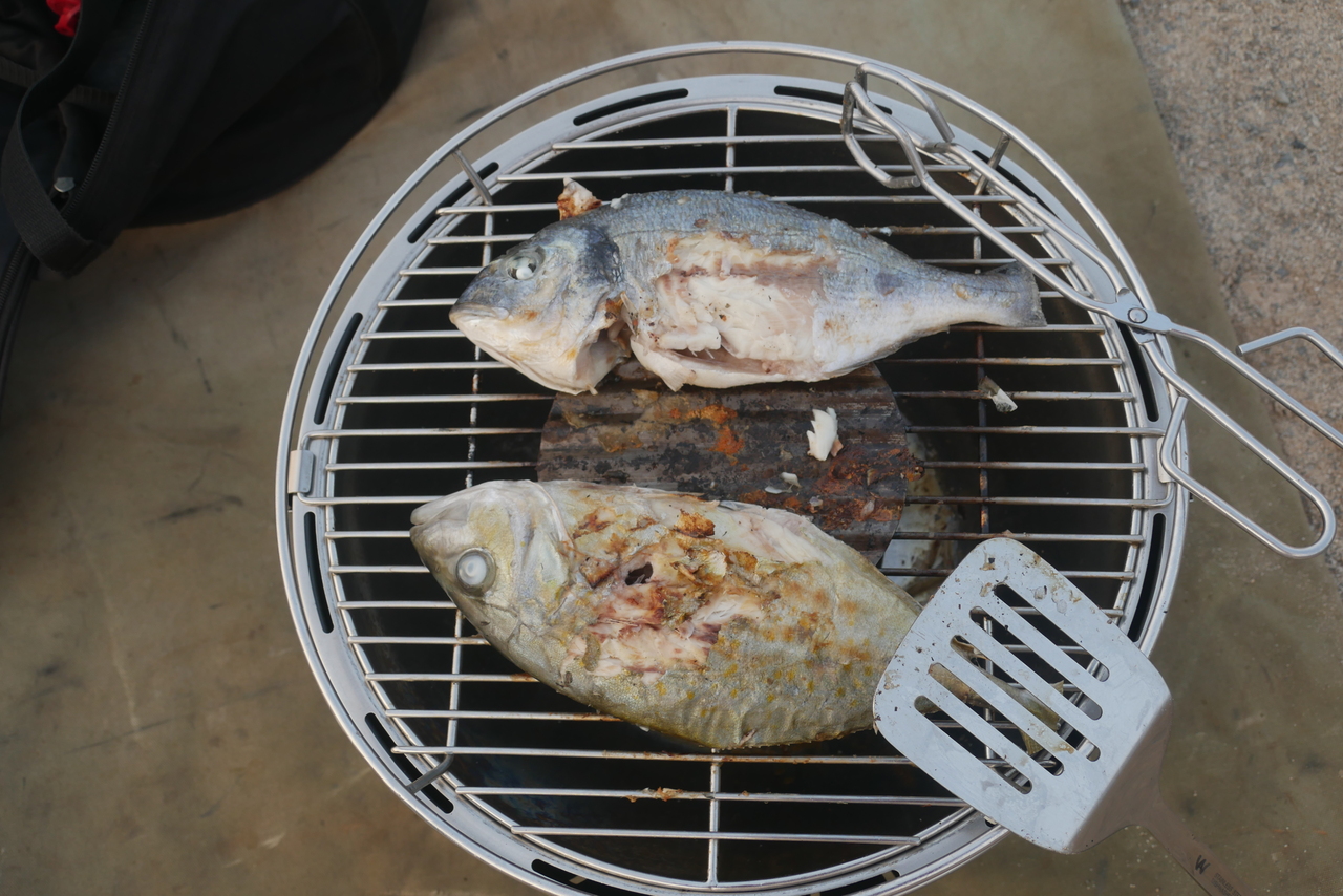 Verse, gegrillde vis